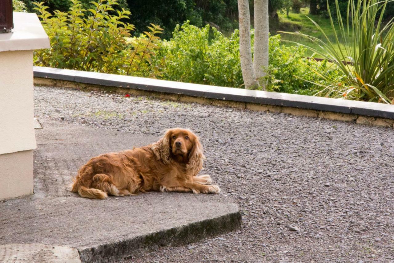 Mountain View B&B Lauragh Bagian luar foto